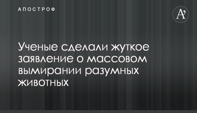 Під Києвом вантажівка розчавила авто: багато загиблих, фото