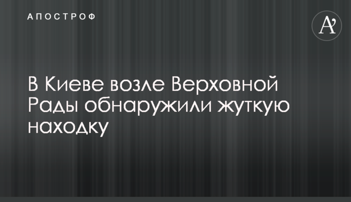 В Киеве возле Верховной Рады обнаружили жуткую находку