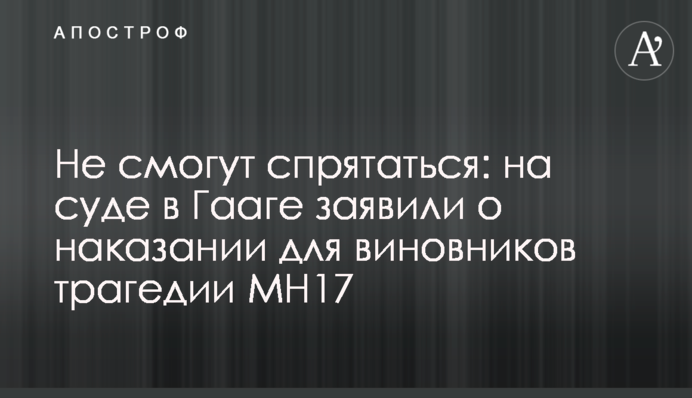 Не смогут спрятаться: на суде в Гааге заявили о наказании для виновников трагедии MH17