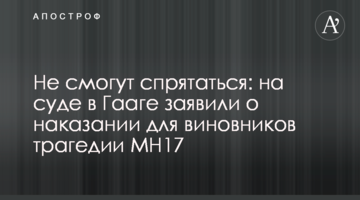 Не смогут спрятаться: на суде в Гааге заявили о наказании для виновников трагедии MH17