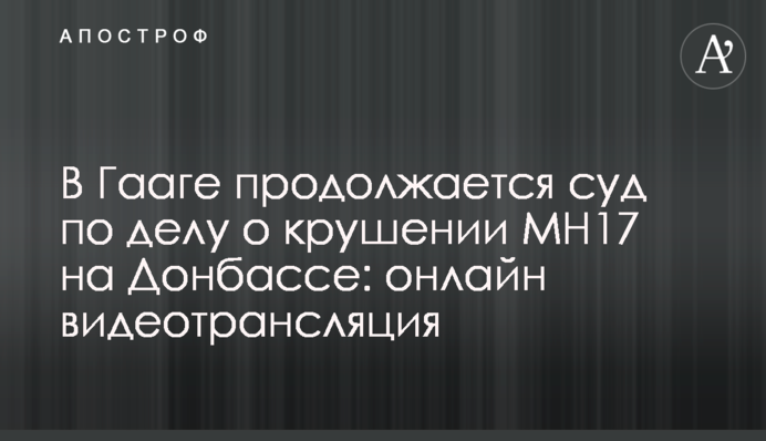 В Гааге продолжается суд по делу о крушении МН17 на Донбассе: онлайн видеотрансляция