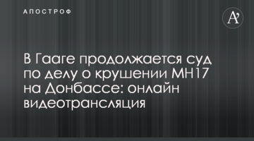 В Гааге продолжается суд по делу о крушении МН17 на Донбассе: онлайн видеотрансляция