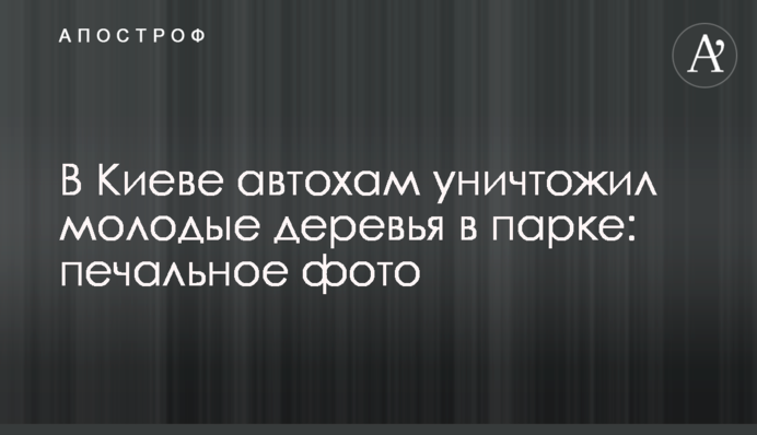 У Києві автохам знищив молоді дерева в парку: сумне фото