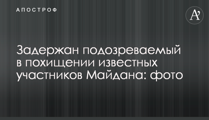 Задержан подозреваемый в похищении известных участников Майдана: фото