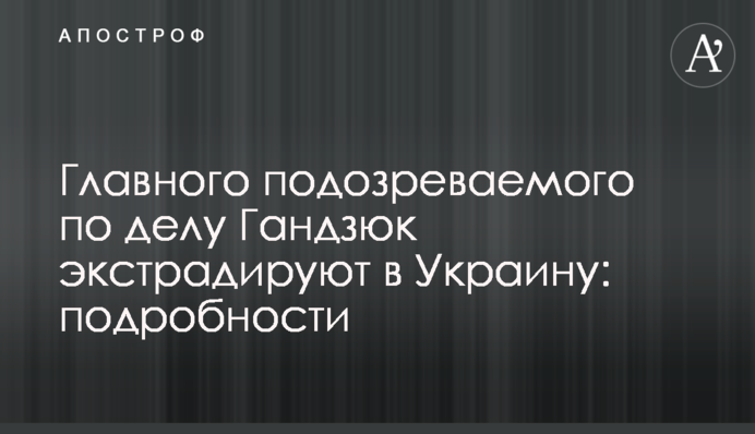 Головного підозрюваного у справі Гандзюк екстрадують в Україну: подробиці