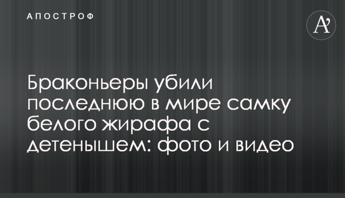 Браконьєри вбили останню в світі самку білого жирафа з дитинчам: фото і відео
