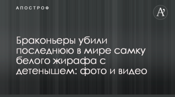 Браконьеры убили последнюю в мире самку белого жирафа с детенышем: фото и видео