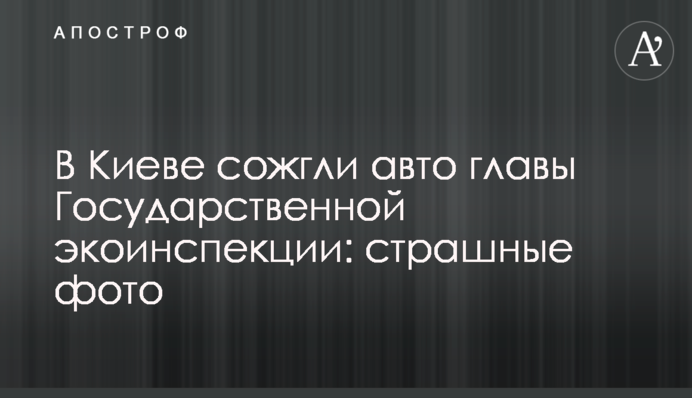 В Киеве сожгли авто главы Государственной экоинспекции: страшные фото
