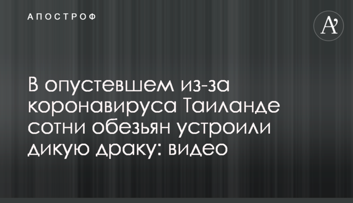 У спорожнілому через коронавірус Таїланді сотні мавп влаштували дику бійку: відео