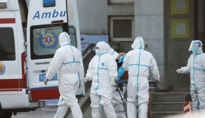 Откуда завезли коронавирус в разные страны мира: опубликована детальная карта