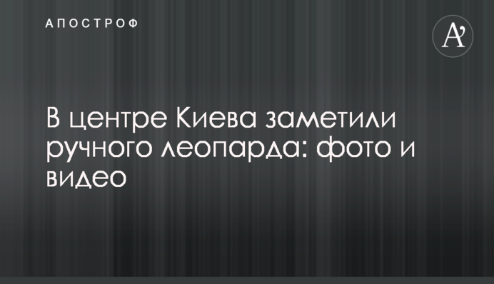 Де дивитися онлайн Динамо - Десна: розклад трансляцій