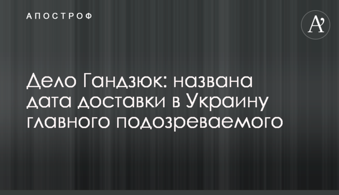 Дело Гандзюк: названа дата доставки в Украину главного подозреваемого
