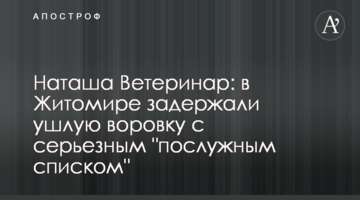 Наташа Ветеринар: в Житомире задержали ушлую воровку с серьезным "послужным списком"