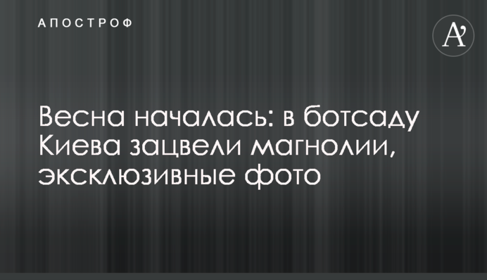 Весна почалася: в ботсаду Києва зацвіли магнолії, ексклюзивні фото