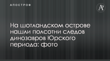 На шотландском острове нашли полсотни следов динозавров Юрского периода: фото