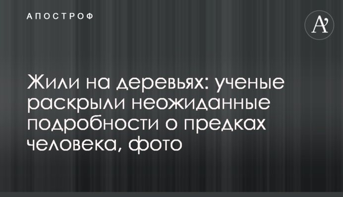Жили на деревьях: ученые раскрыли неожиданные подробности о предках человека, фото