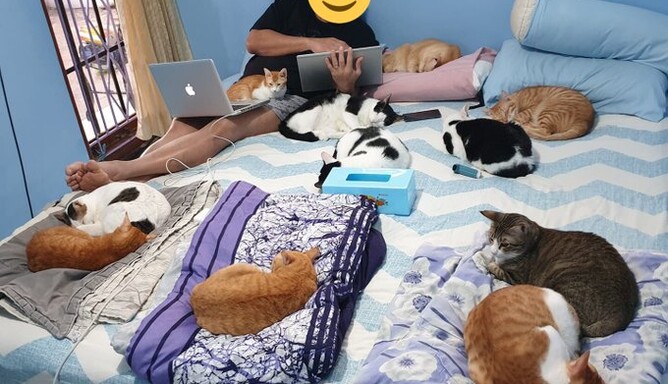 Люди діляться 