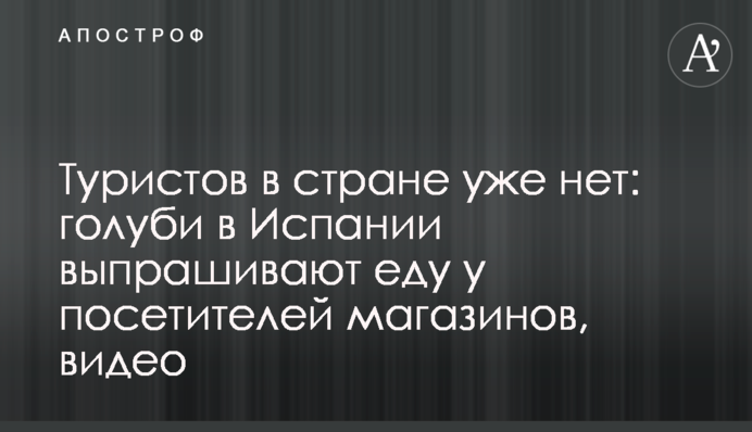 Туристов в стране уже нет: голуби в Испании выпрашивают еду у посетителей магазинов, видео