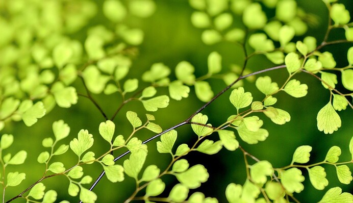 Синоптик розповіла, коли в Україну прийде справжнє тепло