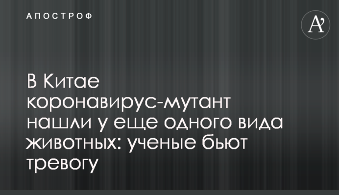 В Китае коронавирус-мутант нашли у еще одного вида животных: ученые бьют тревогу