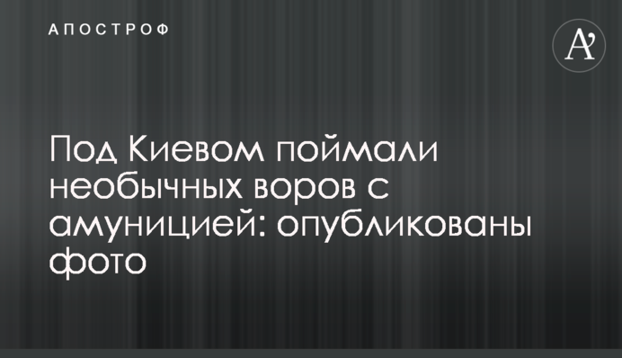 Під Києвом спіймали незвичайних злодіїв з амуніцією: опубліковано фото