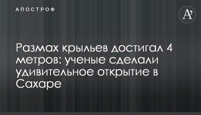 Розмах крил сягав 4 метрів: вчені зробили дивовижне відкриття в Сахарі