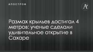 Розмах крил сягав 4 метрів: вчені зробили дивовижне відкриття в Сахарі