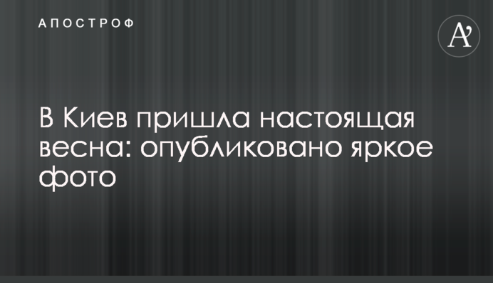 В Киев пришла настоящая весна: опубликованы яркое фото