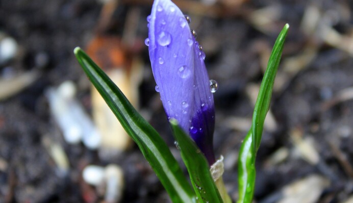 Частину України накриють дощі і мокрий сніг: синоптик попередила про "сюрпризи"