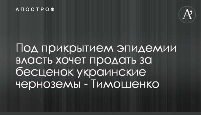 Под прикрытием эпидемии власть хочет продать за бесценок украинские черноземы - Тимошенко