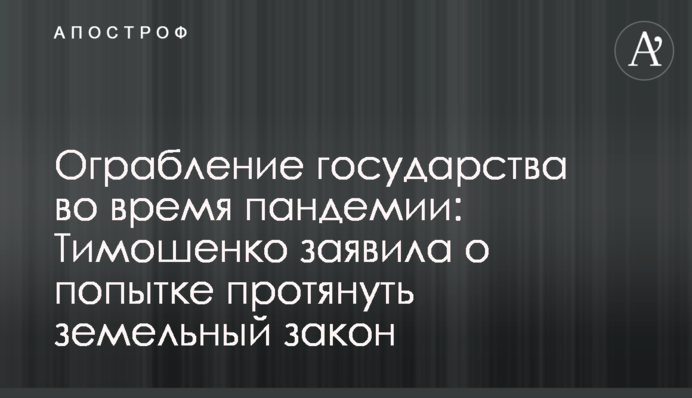 Ограбление государства во время пандемии: Тимошенко заявила о попытке протянуть земельный закон