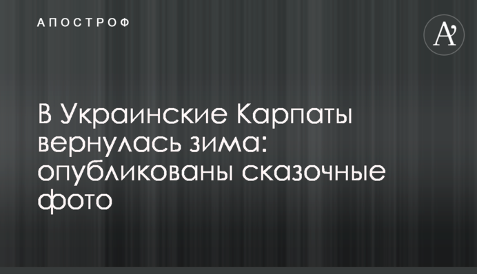 В Украинские Карпаты вернулась зима: опубликованы сказочные фото