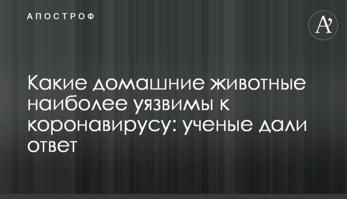 Какие домашние животные наиболее уязвимы к коронавирусу: ученые дали ответ