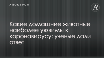 Які домашні тварини найбільш уразливі до коронавірусу: вчені дали відповідь