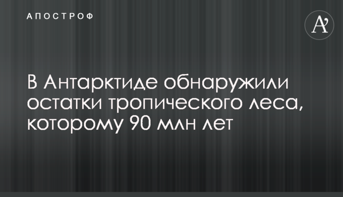 В Антарктиді виявили залишки тропічного лісу, якому 90 млн років