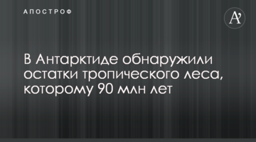 В Антарктиді виявили залишки тропічного лісу, якому 90 млн років