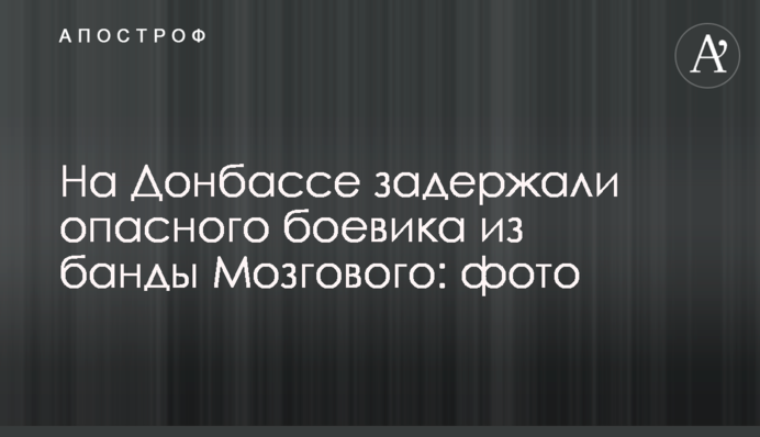 На Донбассе задержали опасного боевика из банды Мозгового: фото