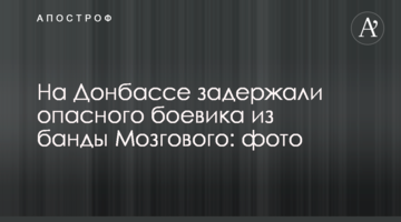 На Донбассе задержали опасного боевика из банды Мозгового: фото
