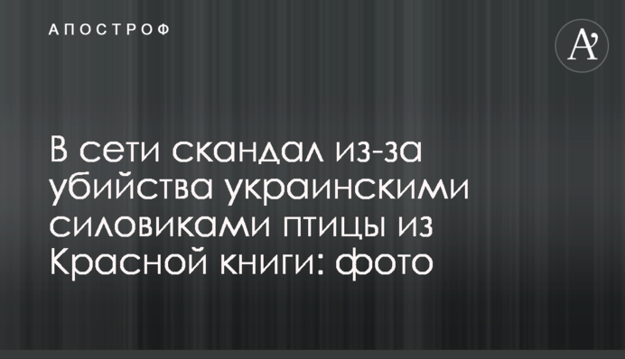 У мережі скандал через вбивство українськими силовиками птиці з Червоної книги: фото