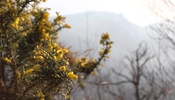 Весеннее похолодание: синоптики предупредили о погоде 4 апреля