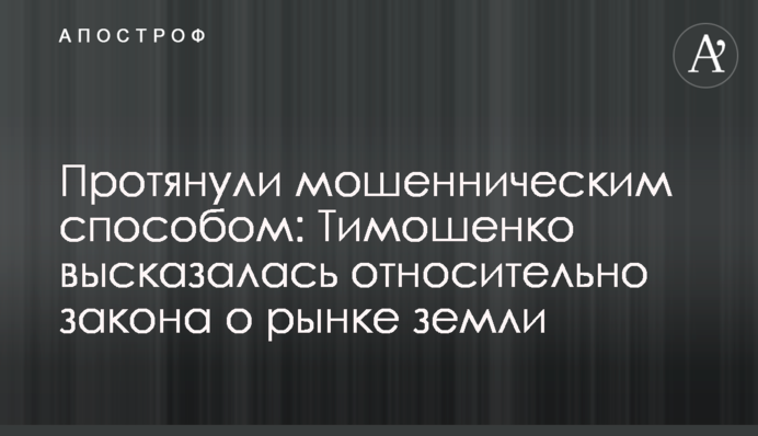 Протянули мошенническим способом: Тимошенко высказалась относительно закона о рынке земли