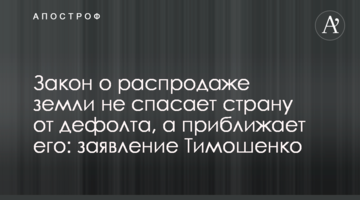 Закон о распродаже земли не спасает страну от дефолта, а приближает его: заявление Тимошенко