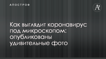 Як виглядає коронавірус під мікроскопом: опубліковано дивовижні фото
