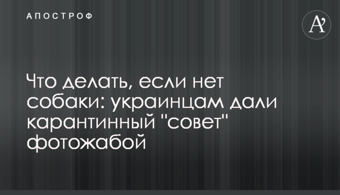 Что делать, если нет собаки: украинцам дали карантинный 