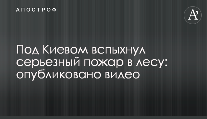 Под Киевом вспыхнул серьезный пожар в лесу: опубликовано видео