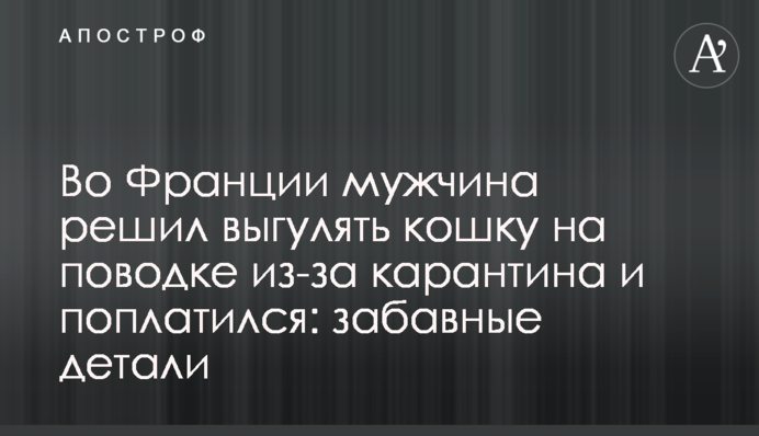 Во Франции мужчина решил выгулять кошку на поводке из-за карантина и поплатился: забавные детали