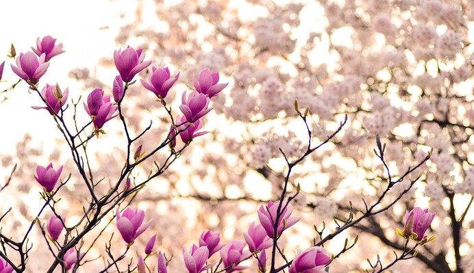 В Украине серьезно похолодает, но ненадолго: синоптик заинтриговала прогнозом