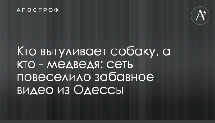 Кто выгуливает собаку, а кто - медведя: сеть повеселило забавное видео из Одессы