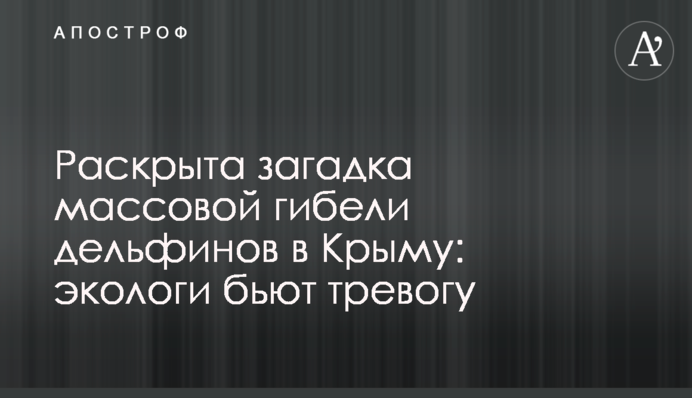 Раскрыта загадка массовой гибели дельфинов в Крыму: экологи бьют тревогу