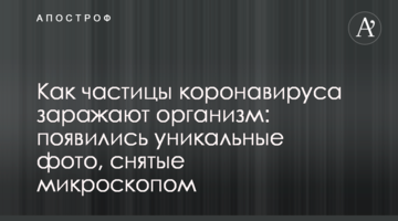 Як частинки коронавірусу заражають організм: з'явилися унікальні фото, зняті мікроскопом
